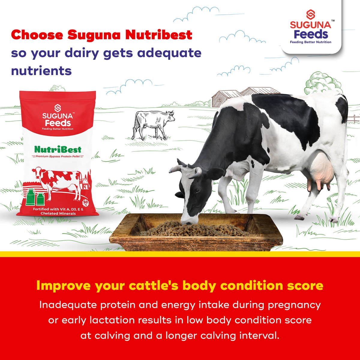 Suguna_Foods's tweet photo. Suguna Nutribest has all the adequate nutrients that your dairy needs to have a nutritious life.
#SugunaFoods #SugunaFeeds #DairyFeeds #BodyConditionScore #Nutrients #Dairy https://t.co/cej6KNTHtc