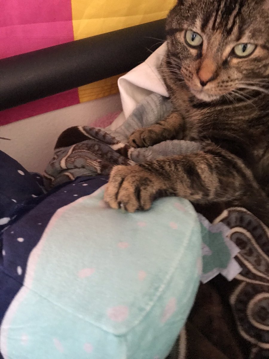 Binx tweet media