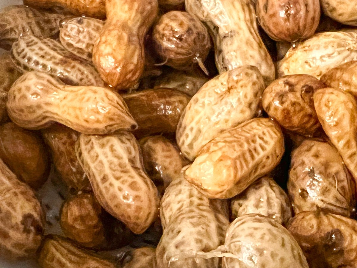 cotorico_cozue's tweet image. 東京都町田市の農園「Bamboo Village Farm」竹村さんからクラファンのお野菜BOXが先日届きました。長いお付き合いですがまとめていただく機会がなかったので、やっとの想いです🥜

▼クラファンはこちら
町田発！農福連携を盛り上げたい！
camp-fire.jp/projects/view/…

#lightcut
#AI編集
#djipocket