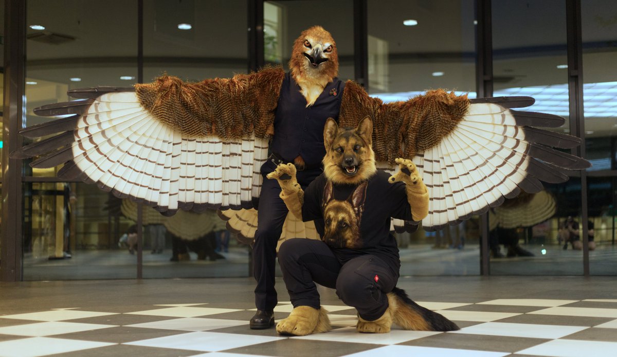 Puppyyyyy!  :D  
Gyrhawk meets up with <a href="/AronGShepherd/">AronGShepherd</a> at #eurofurence 26 for #FursuitFriday !

🦊 by <a href="/clckwrkcreature/">Clockwork Creature</a>
📸 by <a href="/IrisO_x/">Gewoon crimineel</a> 

#furryfandom #furry #realisticfursuit #hawk #GermanShepherd #fursuit