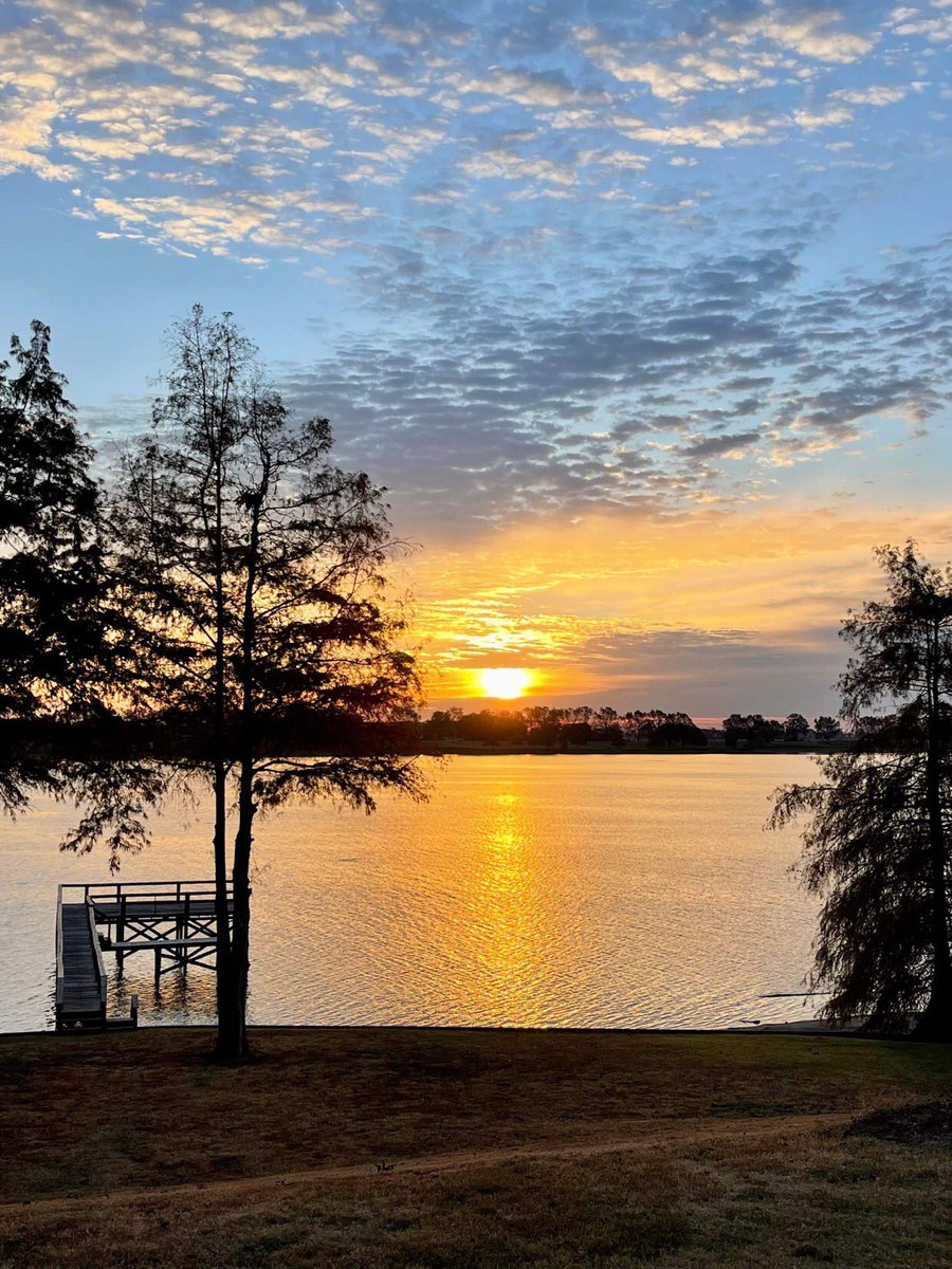 AshleyReneeWx's tweet image. Good morning and happy Friday! What a perfect view 😍. Sunrise over #LakeChicot 😍. #viewerphoto #arwx #arkansasdelta #ChicotCountyArkansas @NWSLittleRock @NWSJacksonMS @The_Delta_News