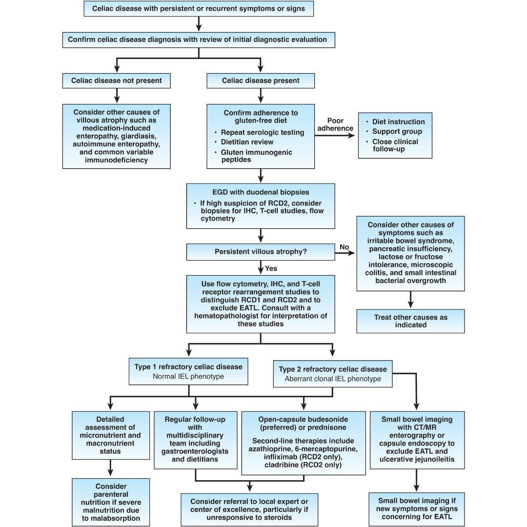 AmerGastroAssn's tweet photo. New in @AGA_Gastro AGA has released 🔟 best practices on how to manage refractory celiac disease.  https://t.co/7YZcAuc08G https://t.co/xIe2mBzf8r