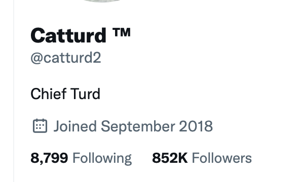 catturd2's tweet image. FYI -

My bio has been updated - 😂