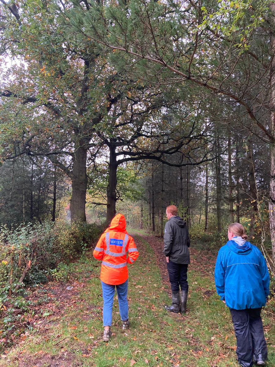 Dr Georgina Key tweet media