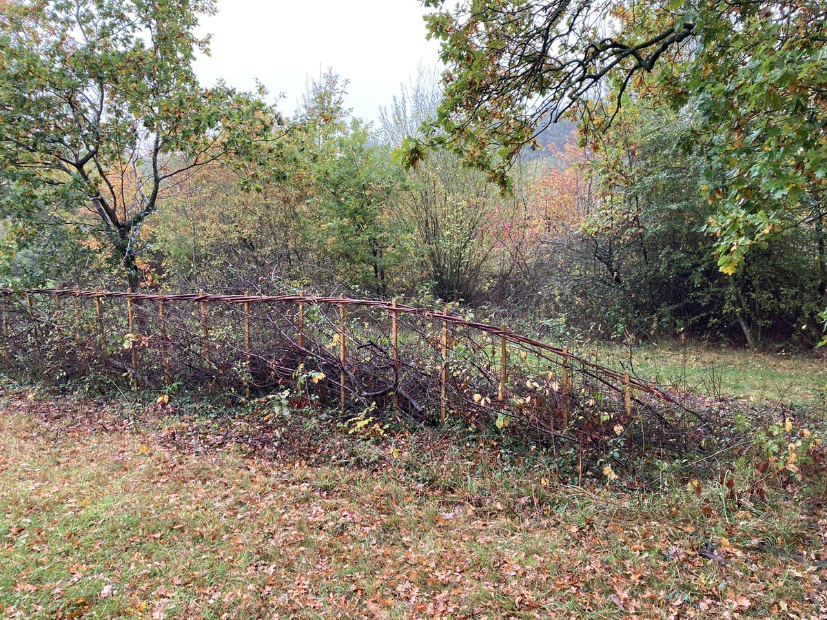 Dr Georgina Key tweet media