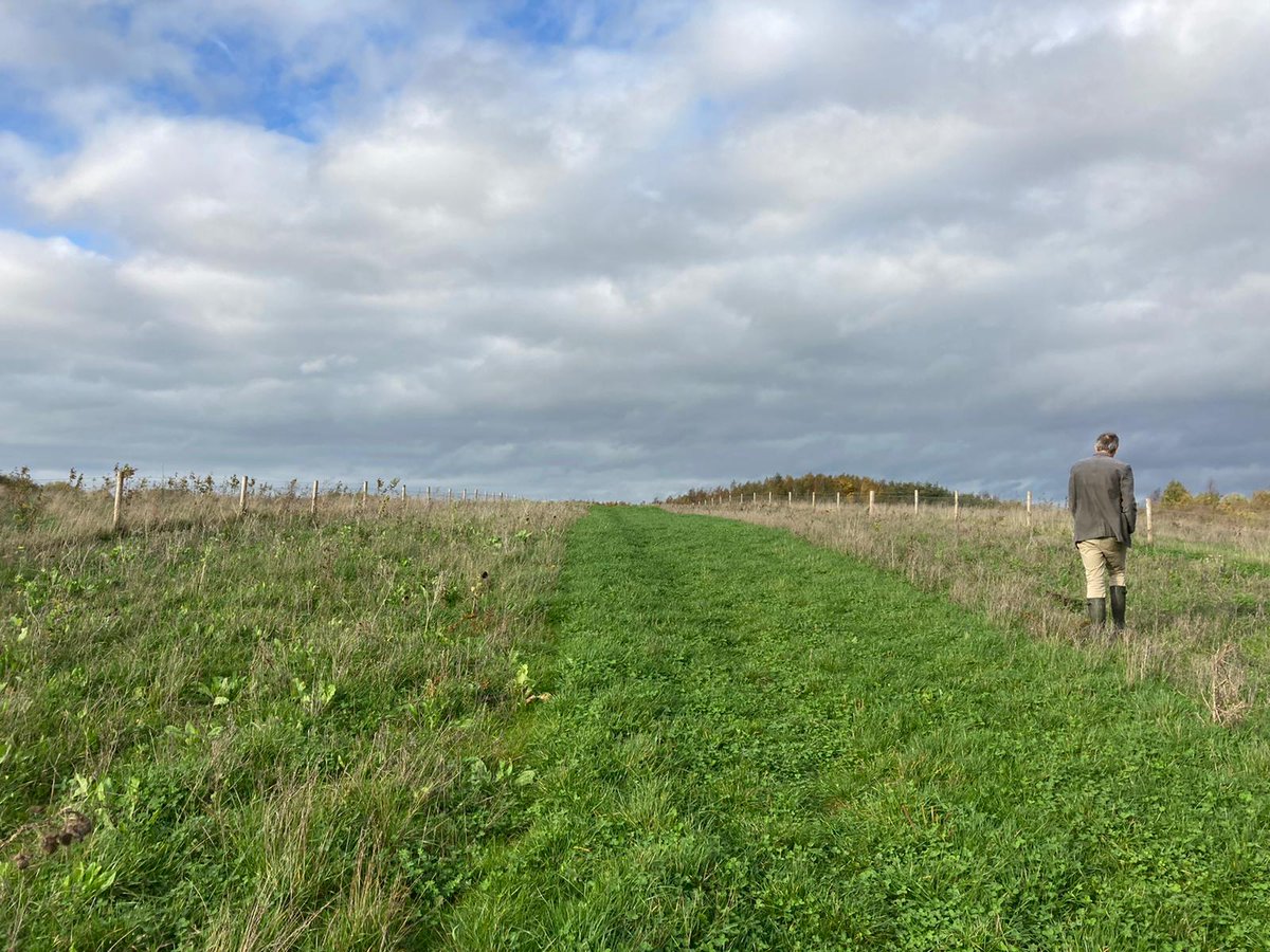 Dr Georgina Key tweet media