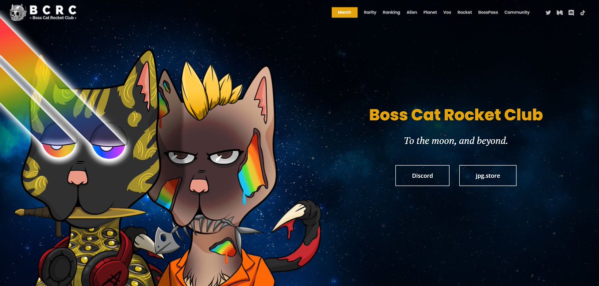 Proof of community - I feel like people are fadding <a href="/BossCatRC/">Boss Cat Rocket Club</a>. Is the community still around ?

#CardanoNFT #CNFT