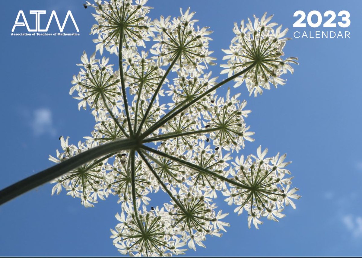 Mathematics in the world around us, the ATM 2023 Calendar includes beautiful photographic images and linked questions for use in the classroom or at home. Pre-order your copy bit.ly/ATM23CALENDAR The tiny pollen beetles on the flowers are 3mm long, how big is the flower head?