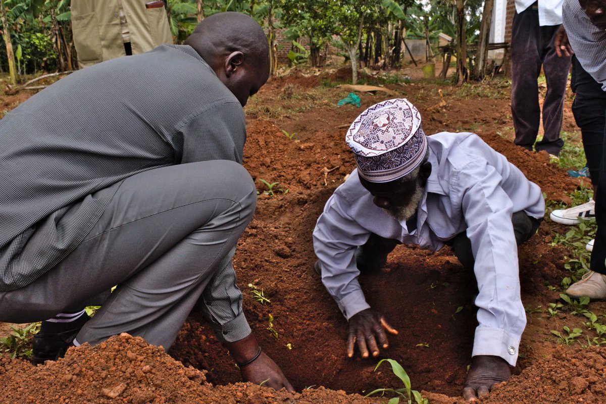 Swisscontact's tweet photo. Combating climate change requires practices and technologies that mitigate risks of drought, flooding and disease outbreaks. With partners in #Uganda, we organised a field day to promote climate-smart practices and #foodsecurity integration among cocoa farmers in Mayuge district. https://t.co/oSLTxkBBH1