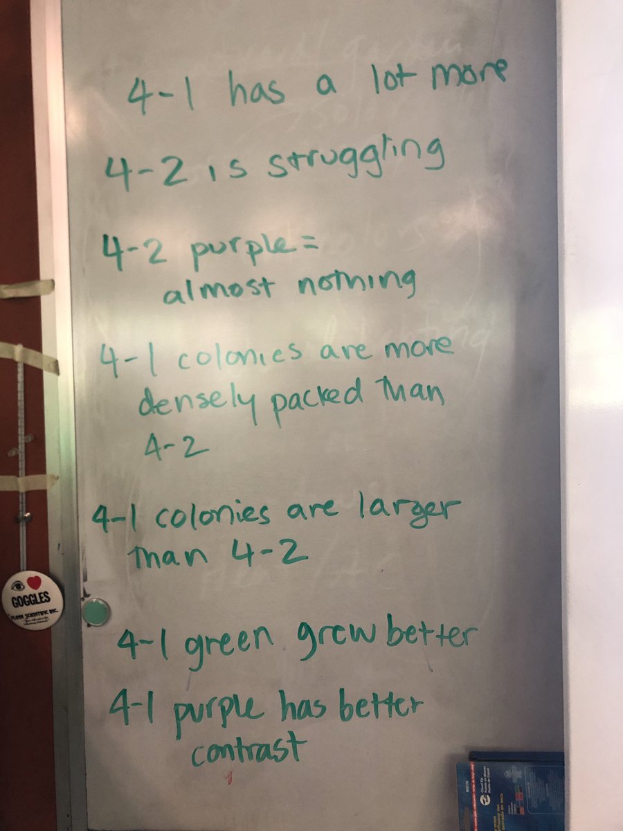 LOVE this #BioBuilder Colorful World transformation/engineering discussion in biotech class. What is the effect of chassis on gene expression? Which design would you choose if you had to make bio paint?? <a href="/SystemsSally/">Systems Sally</a>