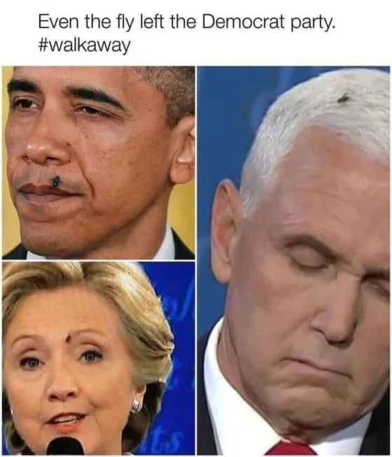 #Traitors #Walkaway #TheFlyKnows #ChiefTwit