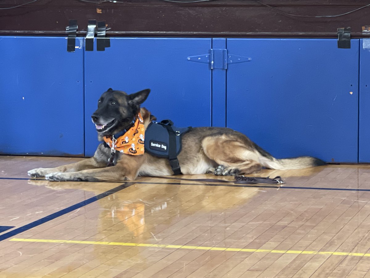 Today at Tracey Magnet School, students were introduced to Balu the Service dog to learn about respect, responsibility, and how we can all leave our PRINT! <a href="/NorwalkPS/">NorwalkPublicSchools</a>
