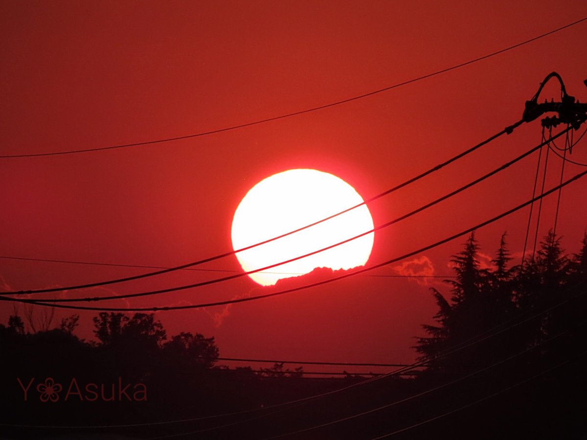 yumeasutw's tweet photo. 穏やかな日の入り🌇
お疲れ様です🏁
晴れ渡る #夕空 をオレンジ色に染め上げ真ん丸 #夕日 が沈んで行きます🟧
東の空はほんのり桃色の #ビーナスベルト と #地球影 🌎️
#空の名前
#天気の図鑑 #雲友の会
#マジックアワー #sunset
#レイリー散乱 #夕焼け #鉄塔 #電柱 #電線
#a2022 #a1027 #a202210 https://t.co/7nnjkhP5Te