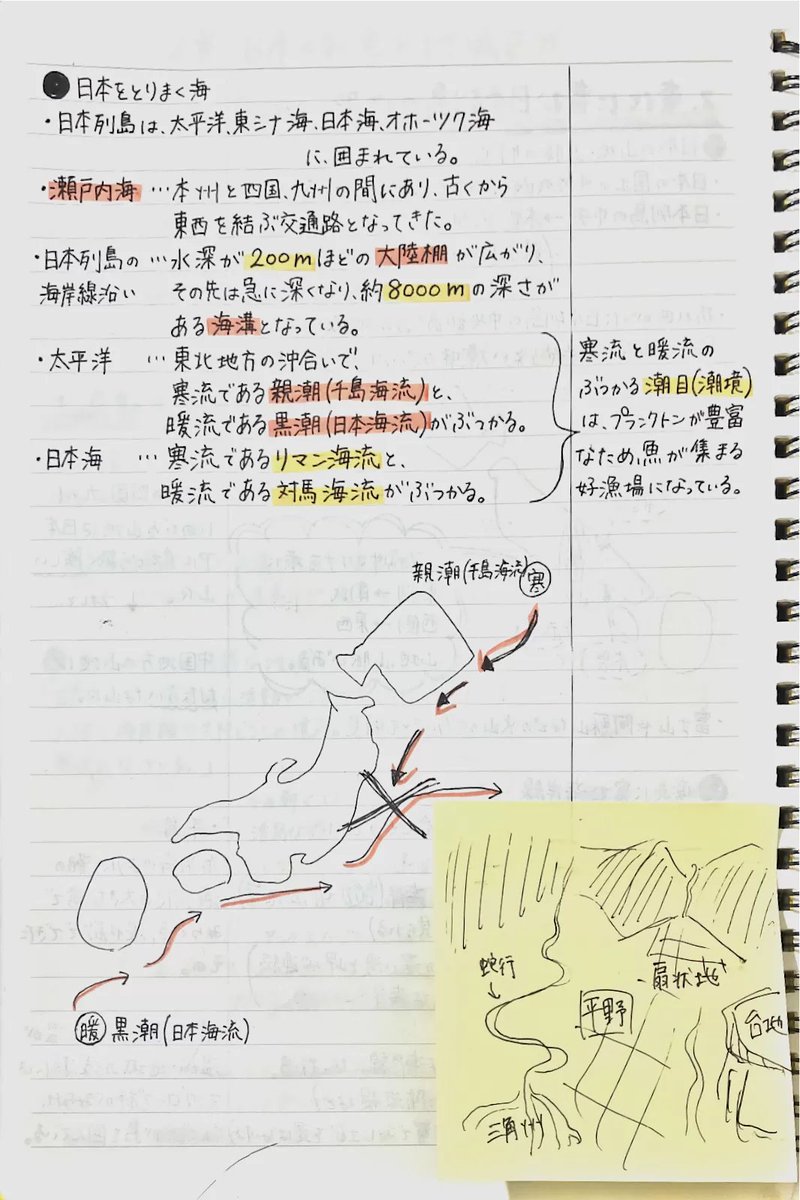 琥珀𓂃 Haku 3006 Twitter