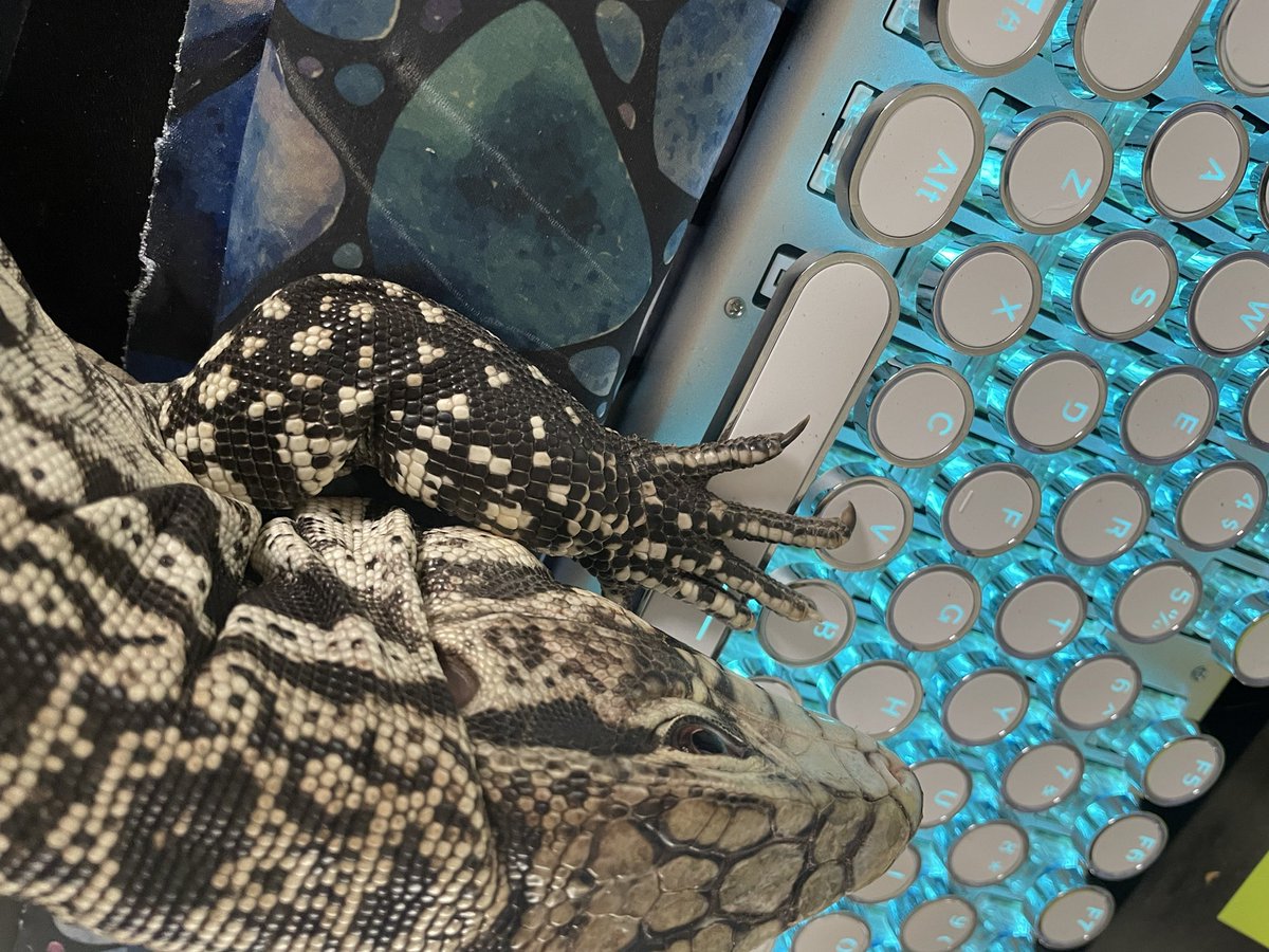 Important emails on the way #workfromhome buddy. #lifeatatt 🦎❤️ #eblock #winas1fam #cando <a href="/LifeAtATT/">Life at AT&T</a> <a href="/Eblockculture/">E-Block Culture Family</a> <a href="/MTC_MSS/">MountainToCoast</a>