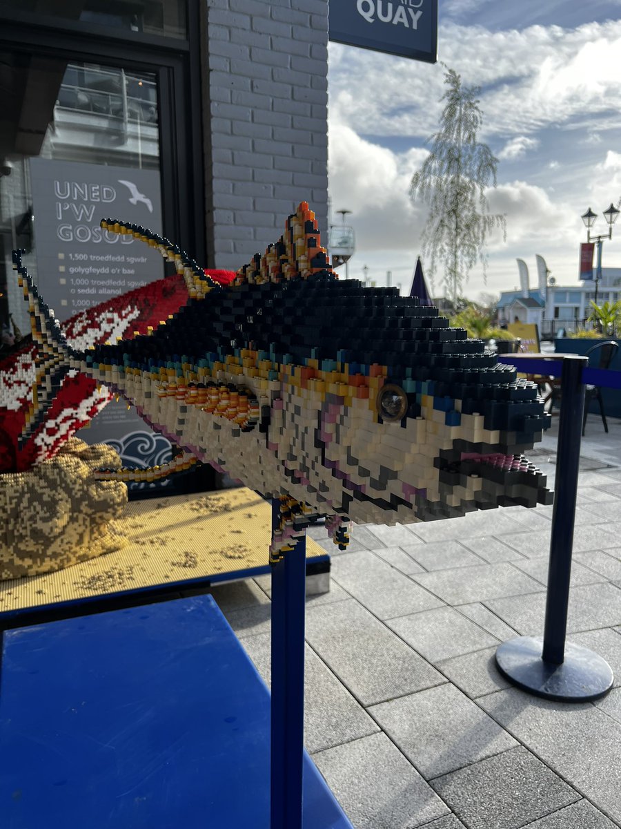 8Hannah6's tweet photo. Something fishy in the bay 🐙🦈🐠🐟 @MermaidQuay https://t.co/5zCh7RLhCR