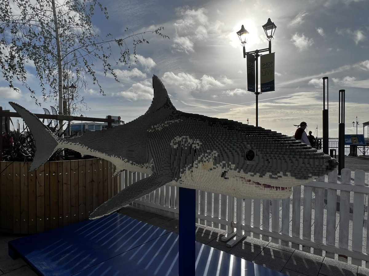 8Hannah6's tweet photo. Something fishy in the bay 🐙🦈🐠🐟 @MermaidQuay https://t.co/5zCh7RLhCR