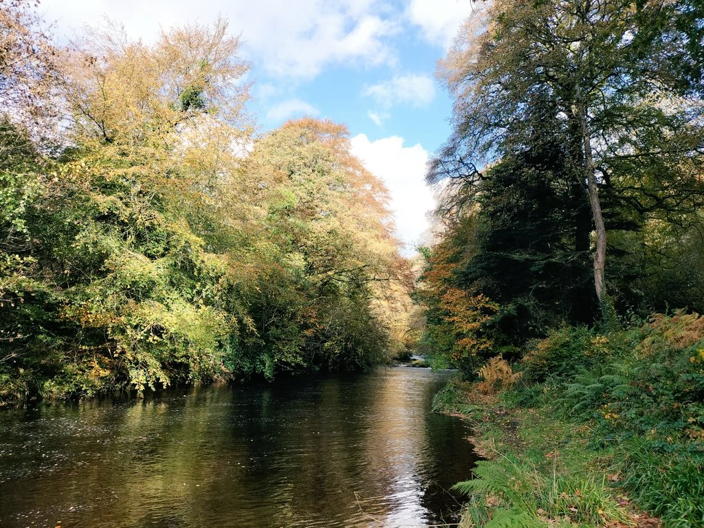 Autumn is officially my favourite time of year in #MournePark. Lovely day on Wednesday for making willow 'pegs' to be planted later in the year. It was so nice we couldn't resist going for a walk along the Whitewater. @WoodlandTrust #WTNorthernIreland