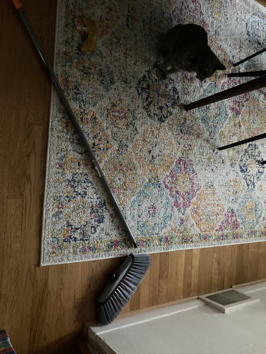 Lori Higgins tweet media