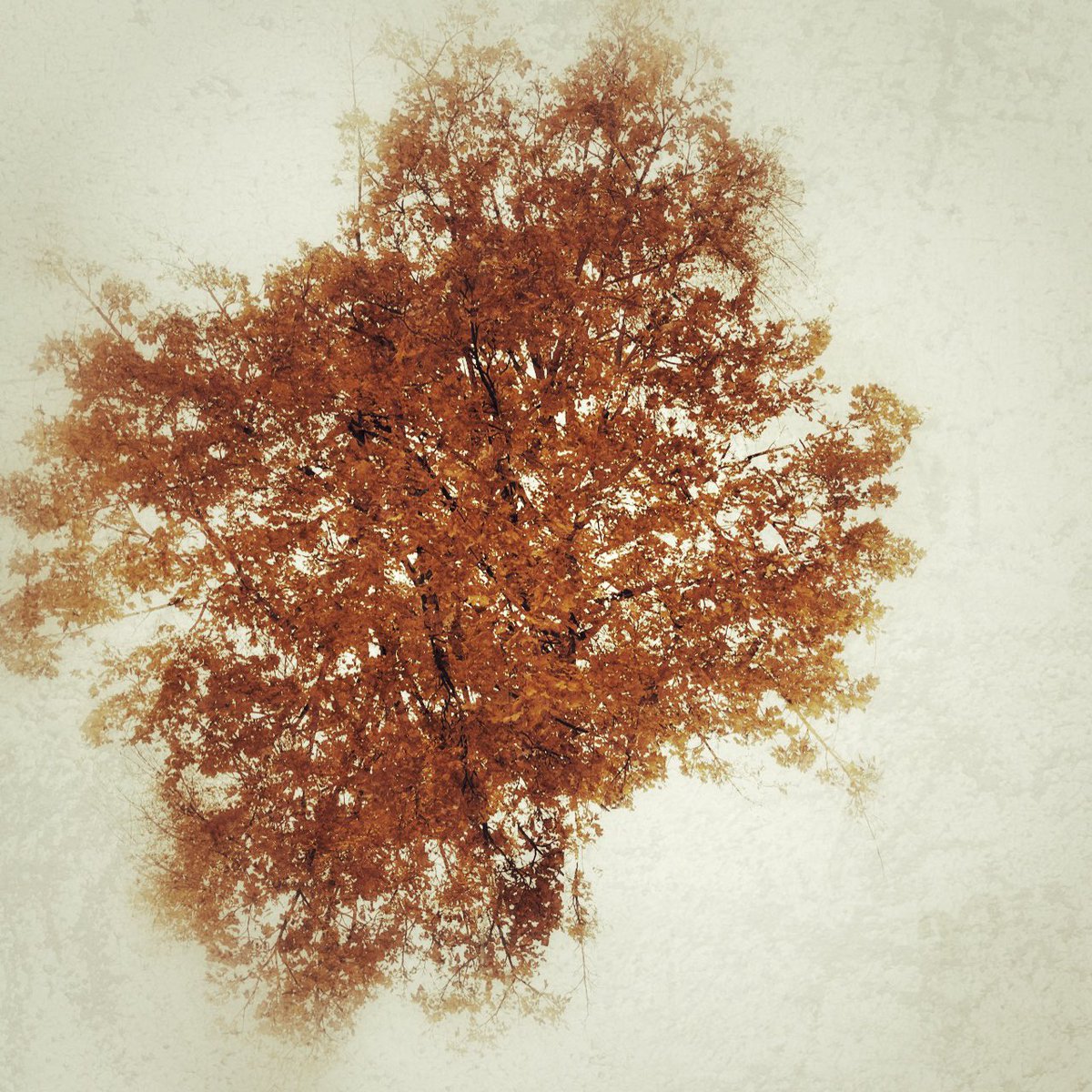 fotoslasirena's tweet photo. phone foto friday!
#multipleexposure using the app #photosplit and edited using the app #snapseed
happy friday y’all! feliz fin a todxs! https://t.co/PPGEgNkJ0P