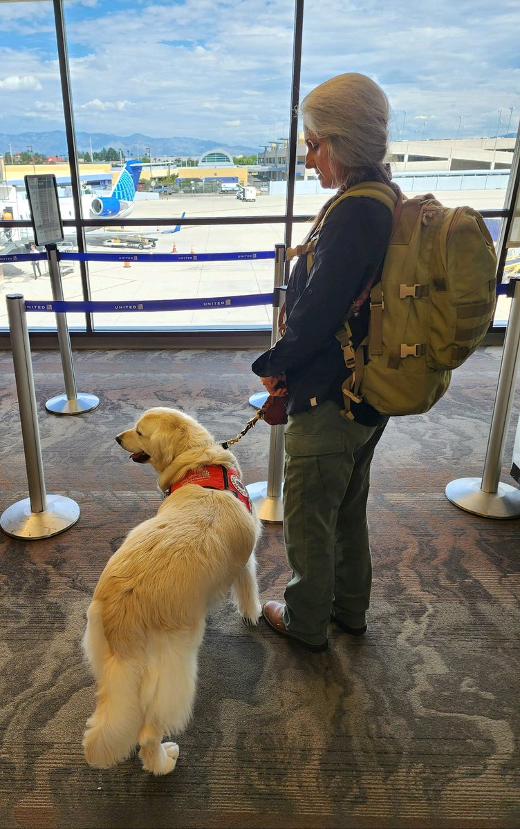 sampson_dog's tweet photo. I am a Service Dog in Science! Did you know you can have Mom and I come to your university or workplace and give lecturers on how to safely accommodate service dog handlers in Science labs? Check out our website in the bio! Yep! We are hitting the skies again! https://t.co/GSCftaAEQf