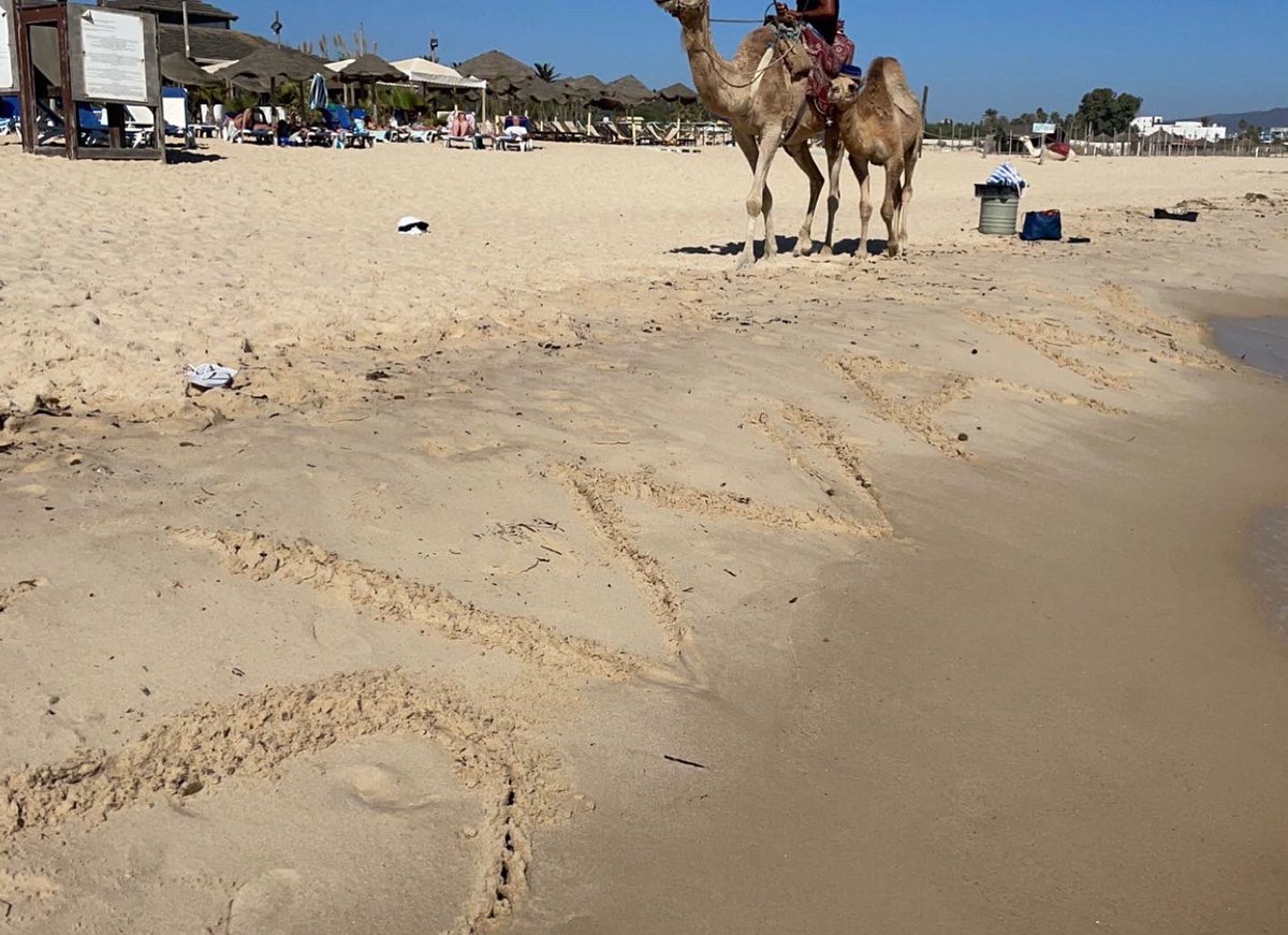 Last Sunday…

What a result from the boys!  Sends us into the hat for Round 2 of the county cup. Chairman sends his love from 🇹🇳💙🦢