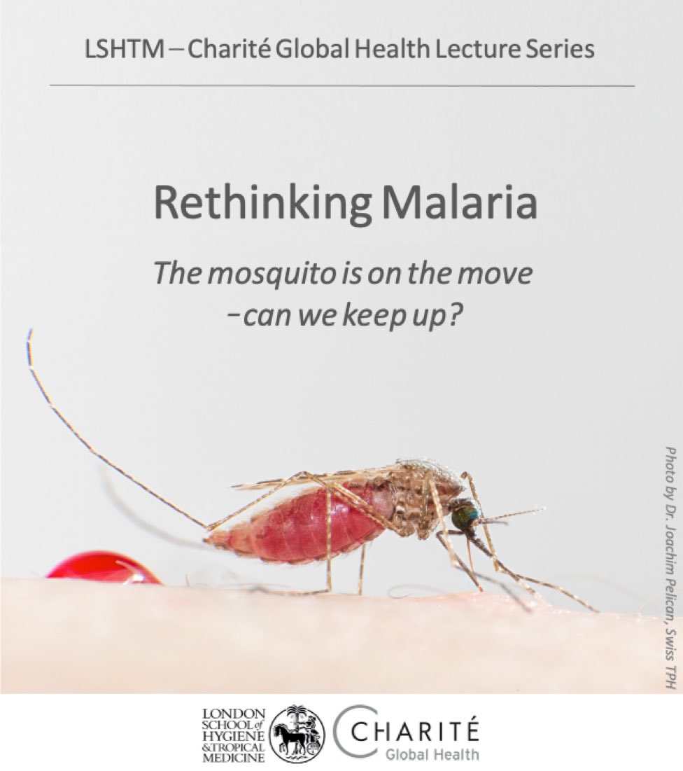 Rethinking Malaria