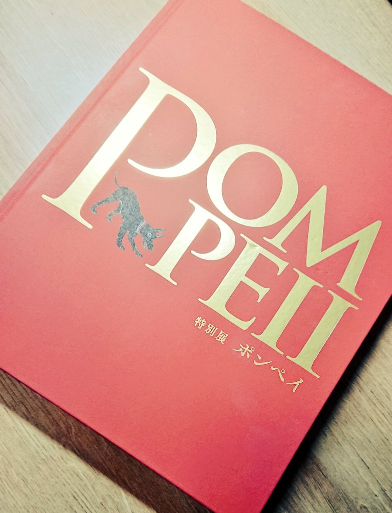 図録お迎えしたので、今日はお布団の中でこれ眺める。 https://t.co/yX3D7PWDtu