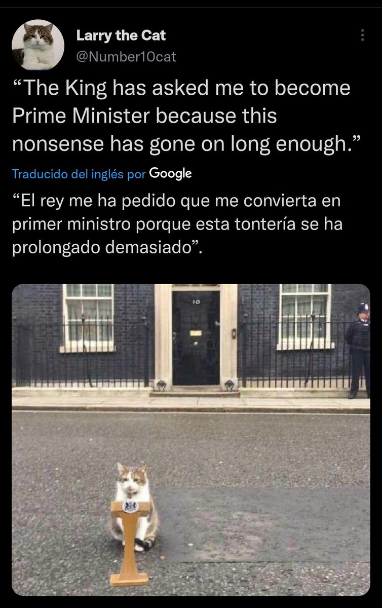 Carol_Raval's tweet photo. @CatWorkers @Number10cat https://t.co/5vC5VEF0Xe