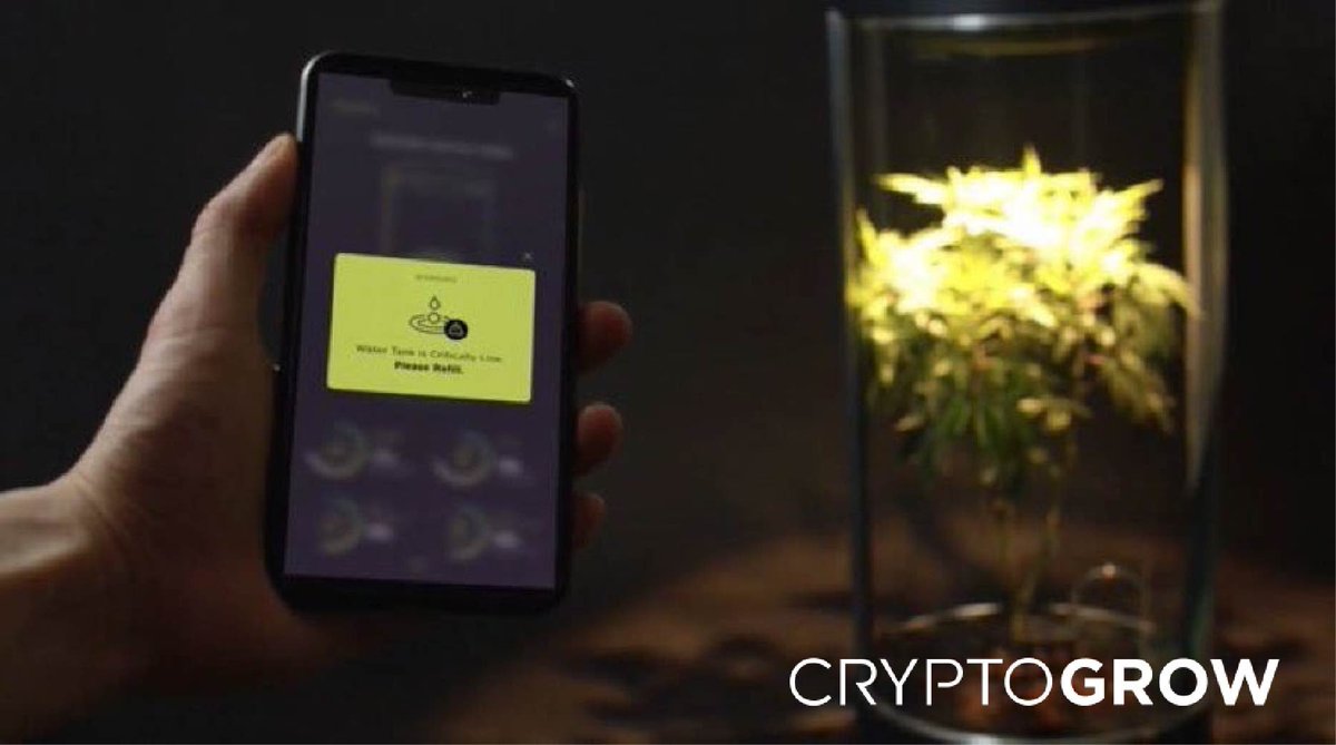 CryptoGrow NFT tweet media