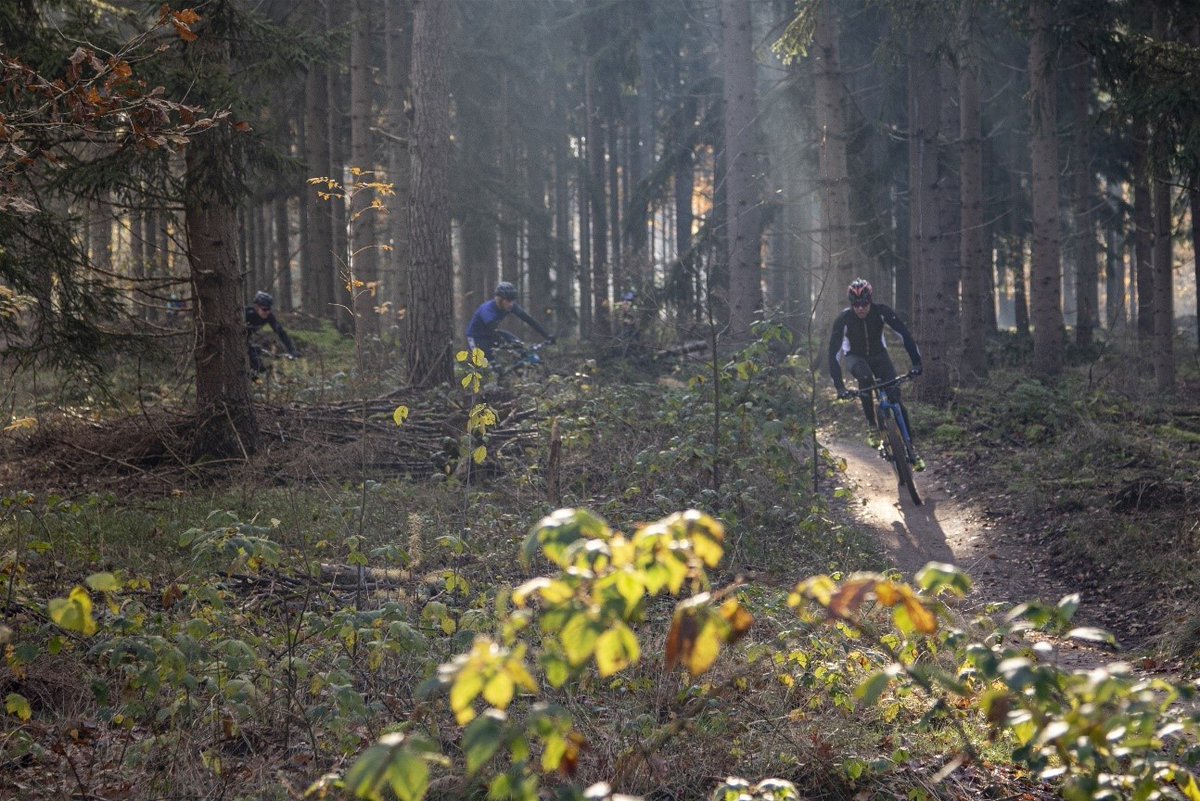 Boa’s starten een actie tegen avondactiviteiten in natuurterreinen door mtb’ers. Hiermee geven we ruimte aan dieren die in de schemer en in het donker opzoek gaan naar voedsel: bit.ly/3TKmFzX

Foto: Marco van de Burgwal (Staatsbosbeheer)