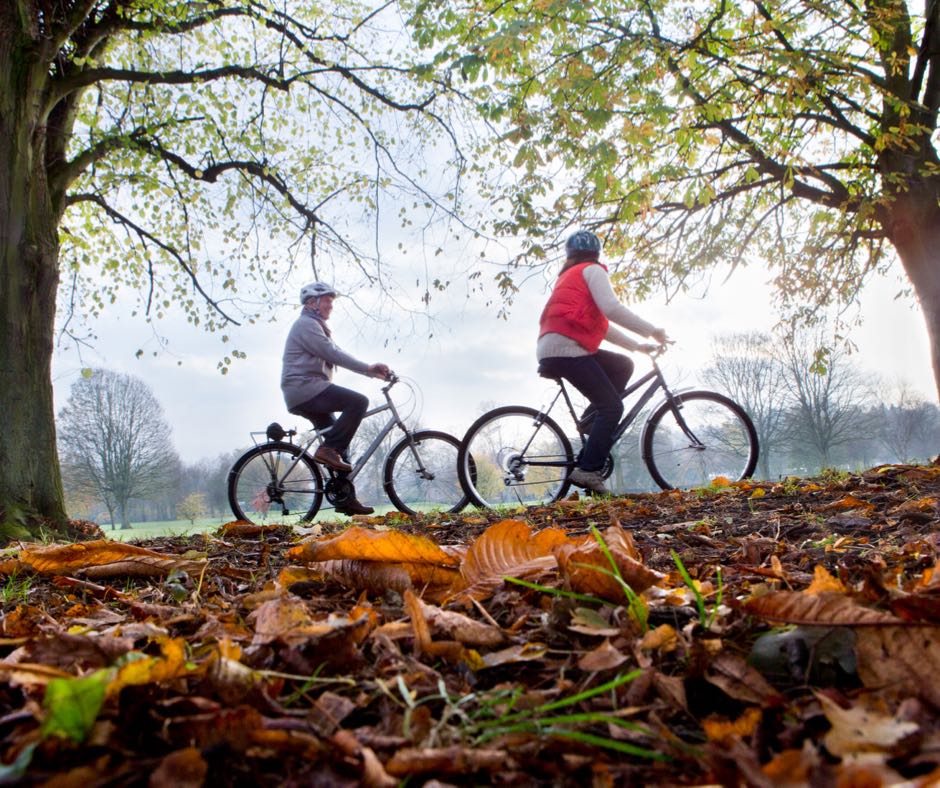 AnneeVelo's tweet photo. Promenade d'automne 🍂
Partagez-nous votre plus belle photo à vélo avec le hashtag #adv https://t.co/w4fonUBbUH