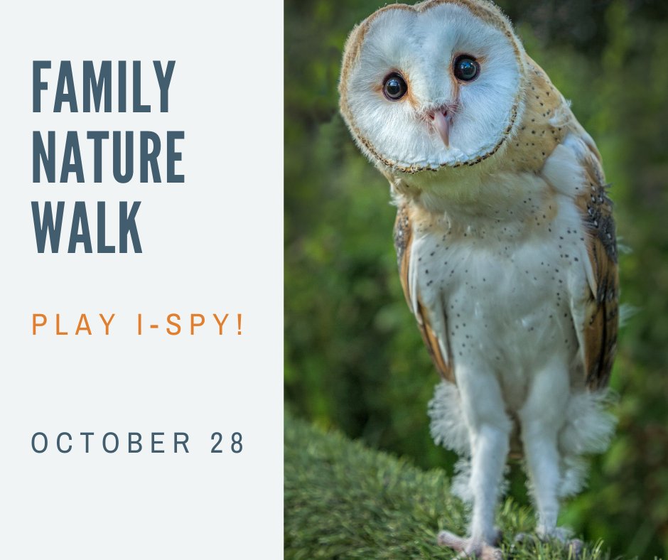 TXChildrenInNature tweet media