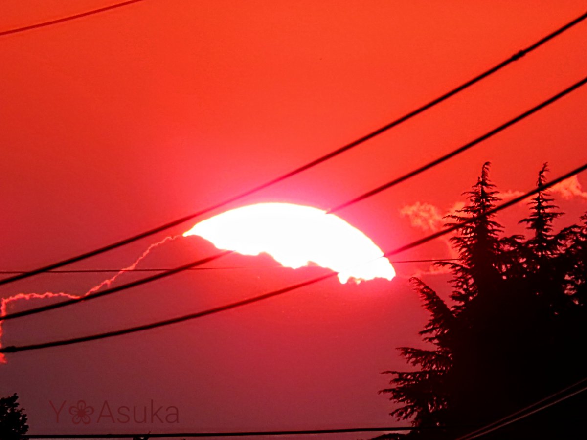 yumeasutw's tweet photo. 雲間の向こうへ沈み行く #夕日 🌇
もしかしたらとグリーンフラッシュを期待しましたが、イエローの煌めきとともに雲の向こうへ✨
#空の名前
#雲の教室
#天気の図鑑 #雲友の会
#マジックアワー #sunset
#夕空 #夕焼け #電線
#a2022 #a1027 #a202210 https://t.co/rSsJT2B9MC