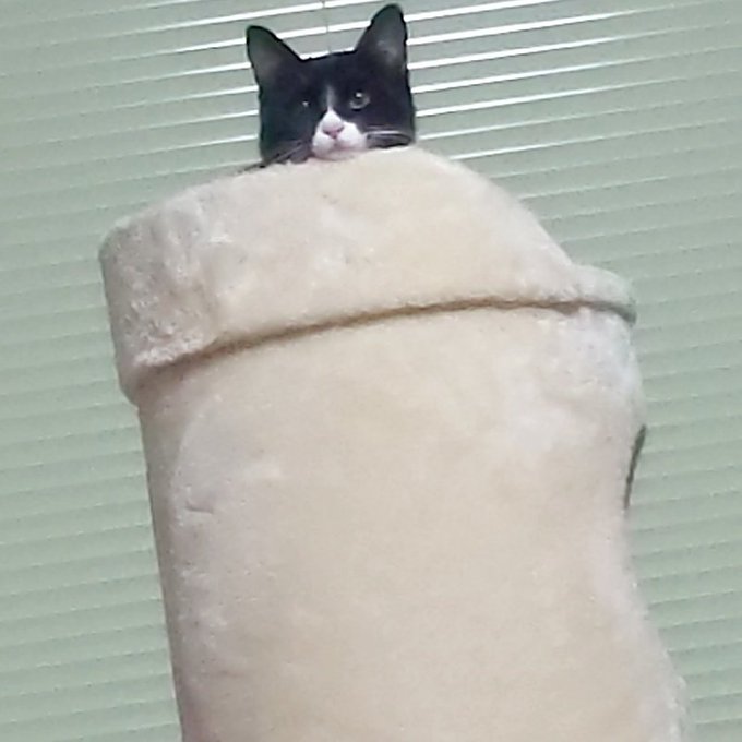 Twitterのコスプレ画像7