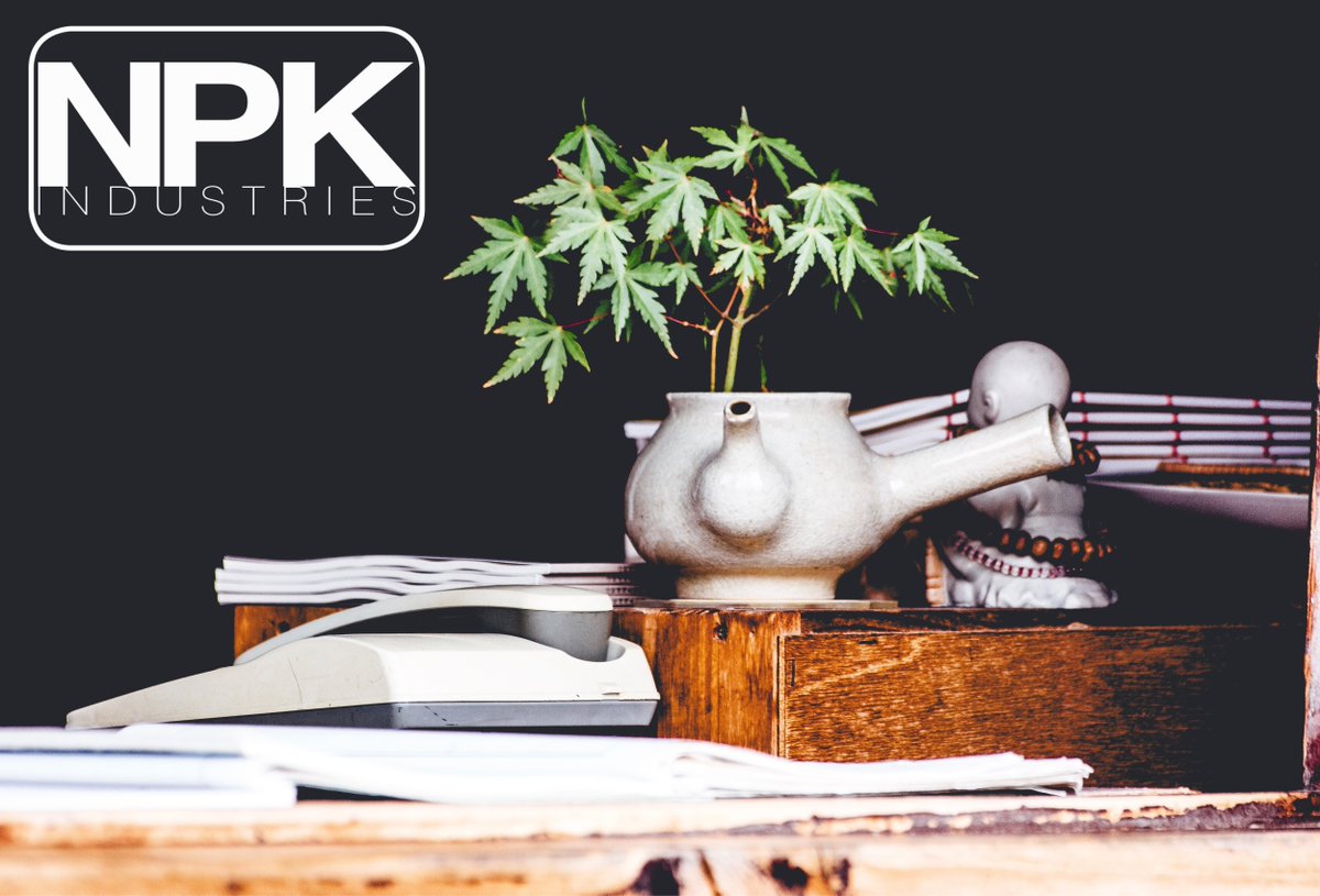 npkindustries's tweet photo. NPK Industries has an extensive line of soluble plant nutrition products that are simple to use for anyone! We have 21 different forms of nutrition, base fertilizers, and supplements for whatever you grow!
 
RAW=Soluble
 
https://t.co/rwAwyG8Pfp

#NPKindustries #plantnutrition https://t.co/IXAG4IWJ03