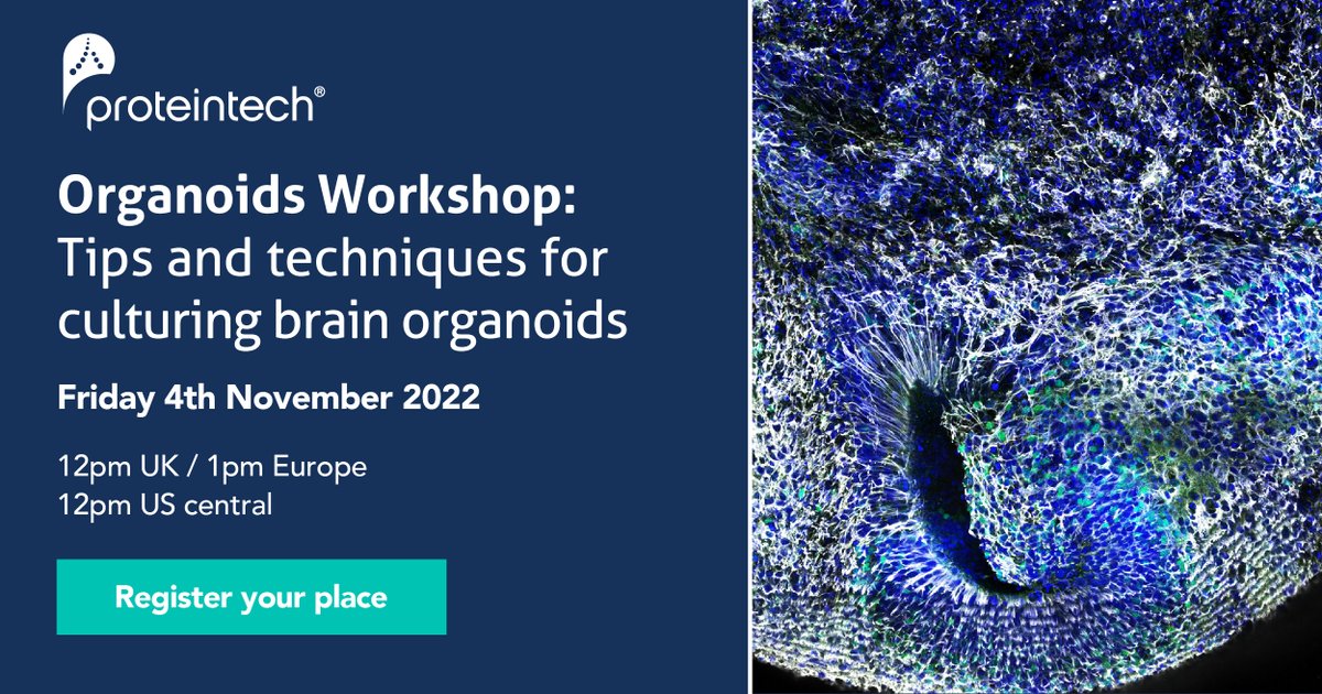 Proteintech Group (@proteintech) on Twitter photo Food for the brain! Join our upcoming organoids workshop to get expert tips and tricks on how to culture brain organoids from <a href="/michela_barbato/">Michela Barbato</a>, <a href="/EdinburghUni/">The University of Edinburgh</a>
ow.ly/GTN650LbTro
#neuroscience #brain #organoids #iPSC #InVitro Food for the brain! Join our upcoming organoids workshop to get expert tips and tricks on how to culture brain organoids from <a href="/michela_barbato/">Michela Barbato</a>, <a href="/EdinburghUni/">The University of Edinburgh</a>
ow.ly/GTN650LbTro
#neuroscience #brain #organoids #iPSC #InVitro