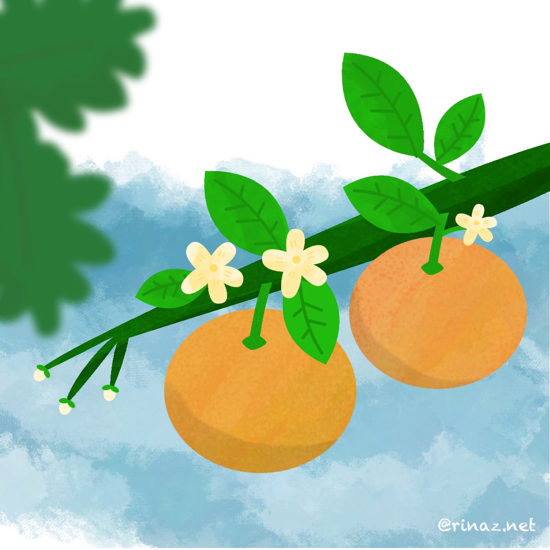 rinaz's tweet photo. Day #28 of #affinitober with the theme of #orange. Depending on the context, it could either be the colour, or the fruit… there is also a place in France called Orange. Wow 😱

#digitalart #affinitydesigner #ipad #illustration https://t.co/hTFaPrXBIz
