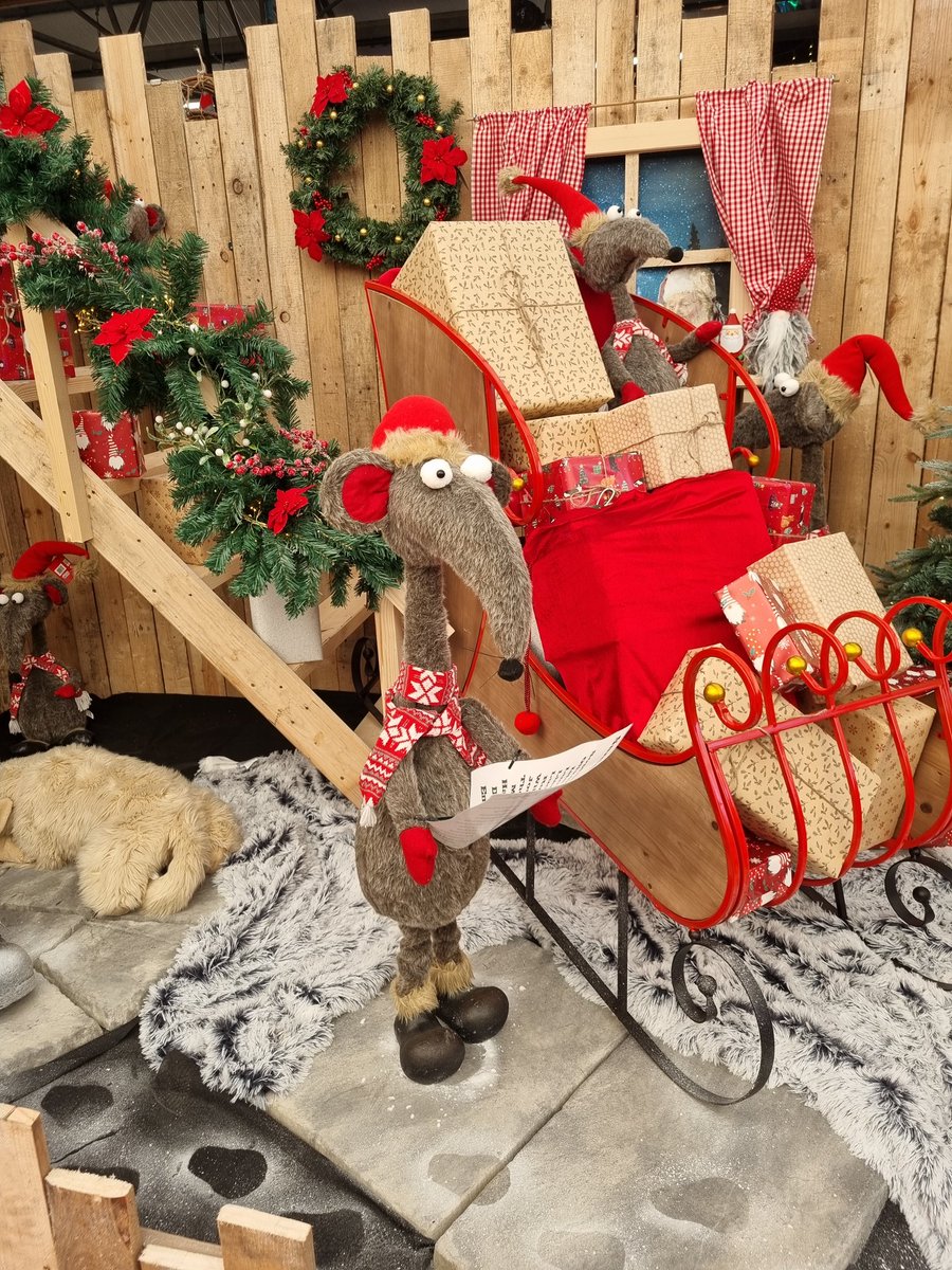 tigerfishfish's tweet photo. I can't begin to explain how badly I need this long nose thing I saw in a shop today to come home with me https://t.co/FuFCIqkrQf