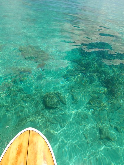 totallybarbados's tweet photo. Crystal clear waters during a paddle lesson with What' SUP Barbados ( https://t.co/Enm5eCnVmX ). Call and book your paddle today! https://t.co/jR6CSEZIFP