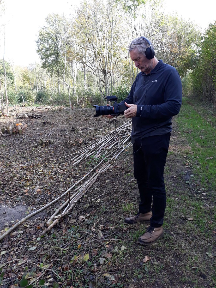 Ten years after ash die was confirmed in England I'm filming in the gorgeous <a href="/NorfolkWT/">Norfolk Wildlife Trust</a> Lower Wood with <a href="/BBCLookEast/">BBC East</a>. Lots learnt and plenty of reasons to be positive. On tonight at 6.30!