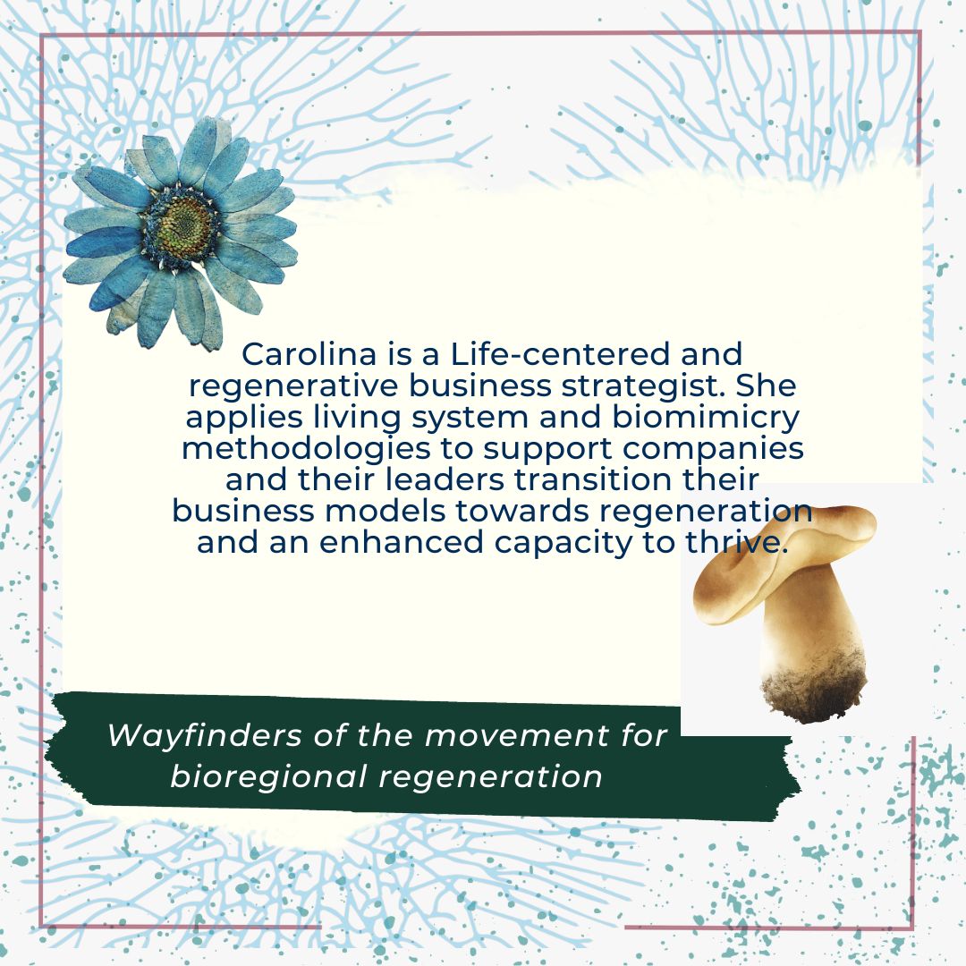 RegenComNet's tweet image. Regenerative Business. Right now!
bioregen.qiqochat.com