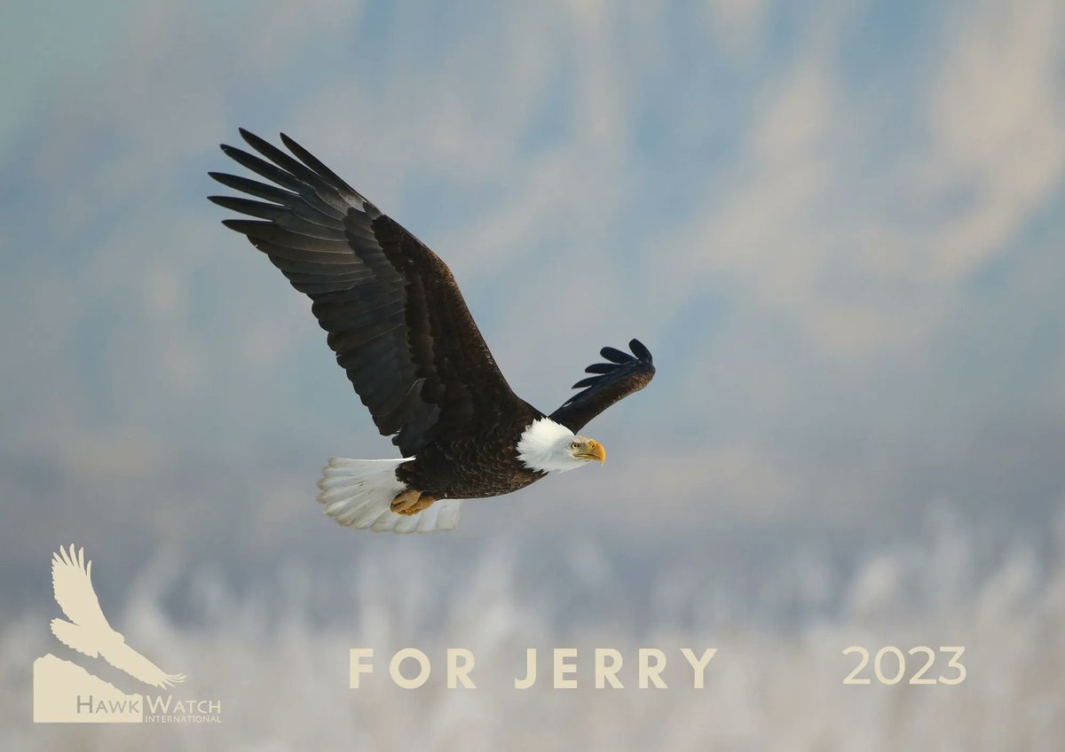 Support raptor conservation—and the Jerry Liguori Scholarship—all year long with your new 2023 calendar! A portion of each sale will directly support the scholarship created in his honor. Pre-orders will only be open for two weeks! hawkwatch-international.myshopify.com/products/2023-…