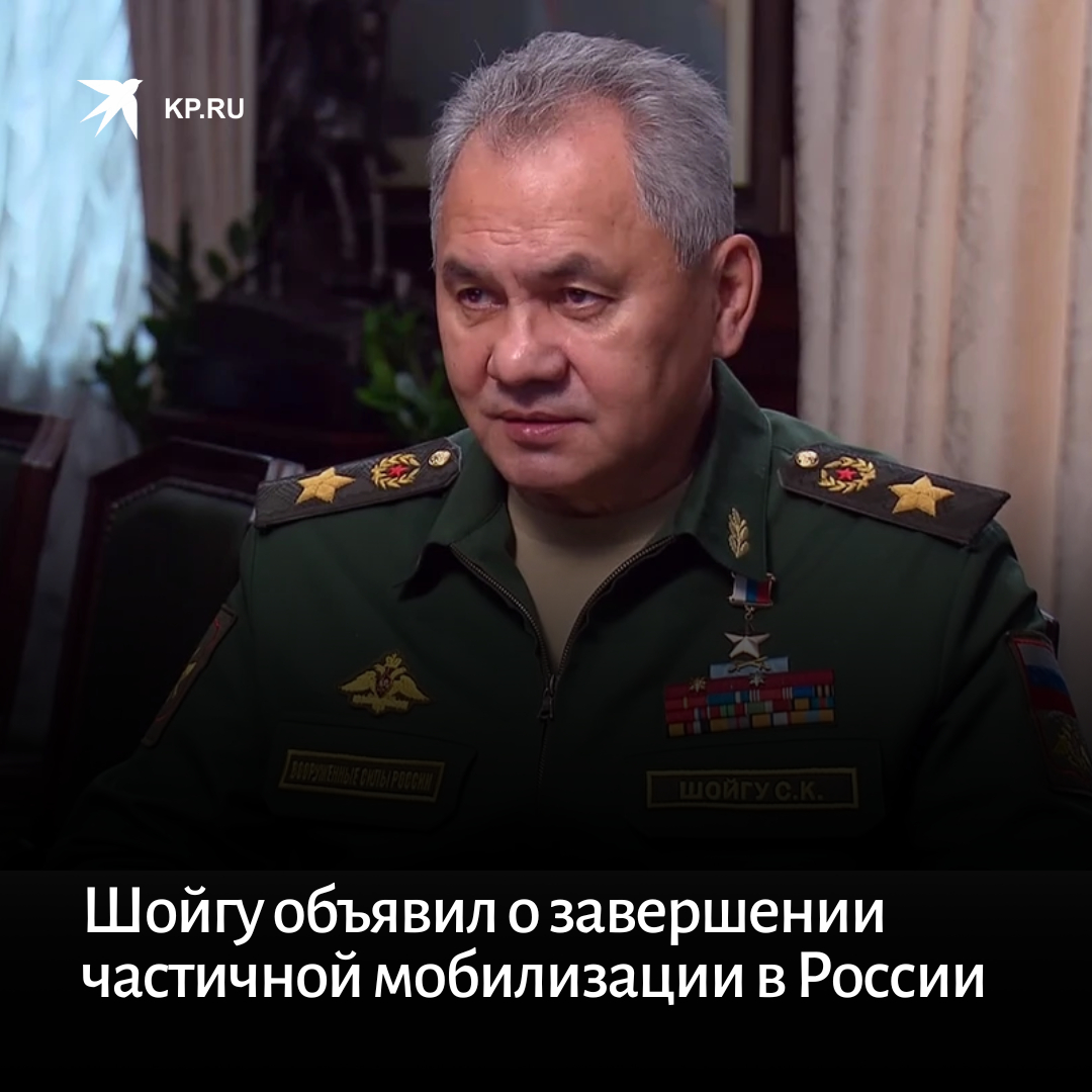 Шойгу мобилизованные. Шойгу о мобилизации.