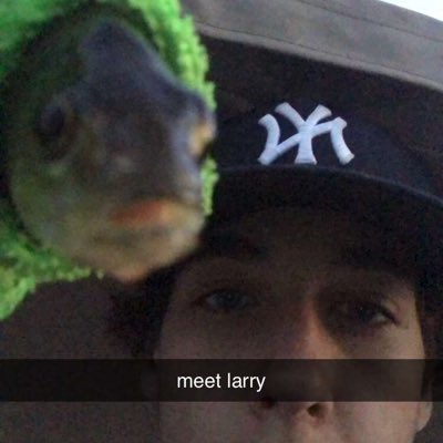 Rickyg99639396's tweet photo. #NewProfilePic https://t.co/X0cknCEfk0