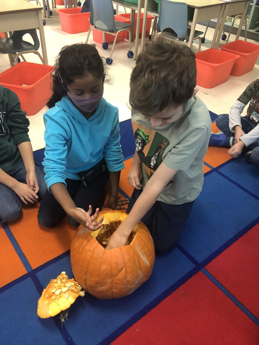 amavesedu's tweet photo. We used our senses to look 👀, smell 👃, touch ✋and hear 👂 the pumpkin 🎃. We came up with a list of adjectives to describe our pumpkin today! @ChapelHillOCSB https://t.co/lr1bKVhVQK
