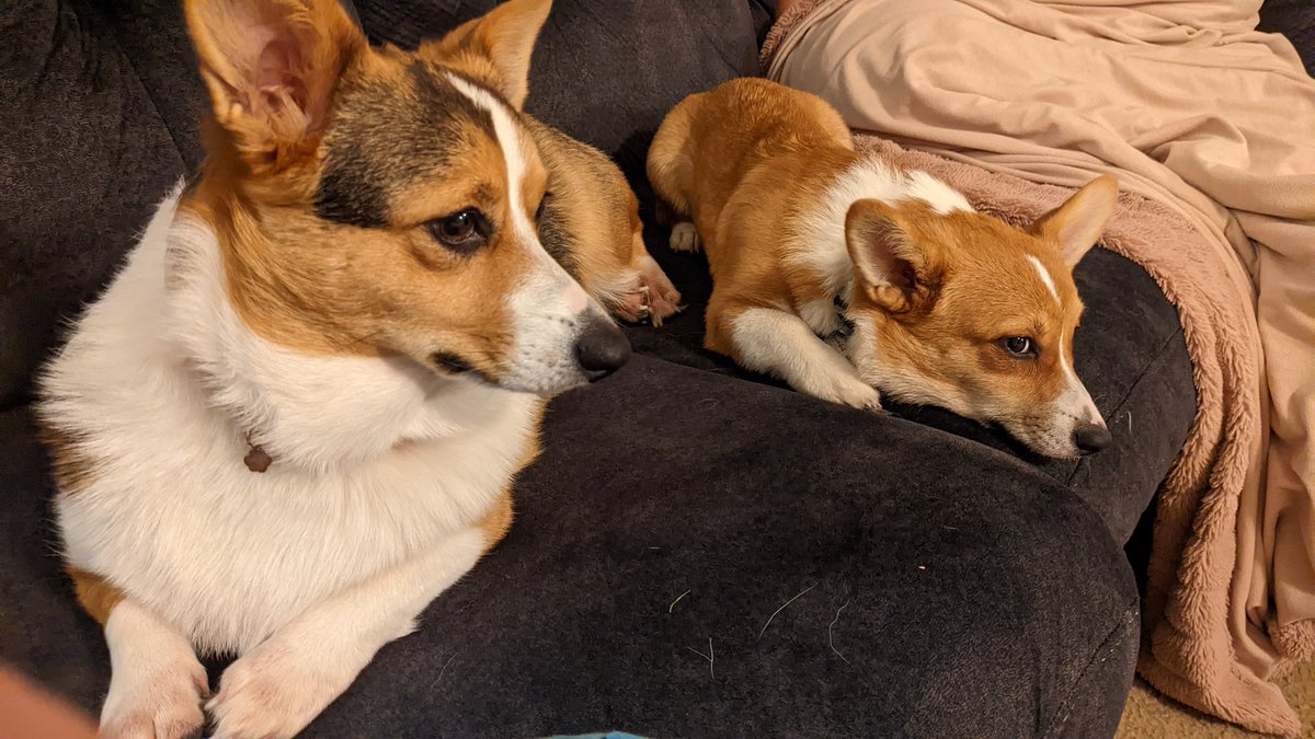 RichTreece's tweet photo. @Marisha_Ray @LauraBaileyVO @matthewmercer I have to say, while a cute power couple. My Rogue and Gambit are cuter ... https://t.co/nbK2MOTPU9