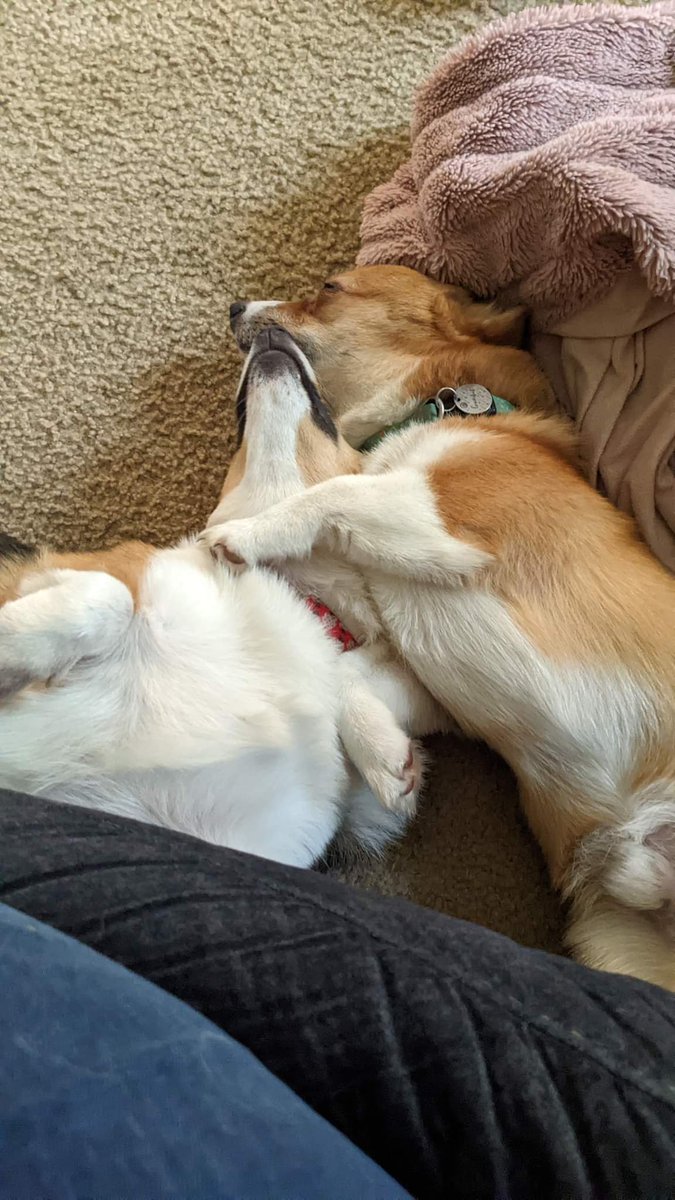 RichTreece's tweet photo. @Marisha_Ray @LauraBaileyVO @matthewmercer I have to say, while a cute power couple. My Rogue and Gambit are cuter ... https://t.co/nbK2MOTPU9