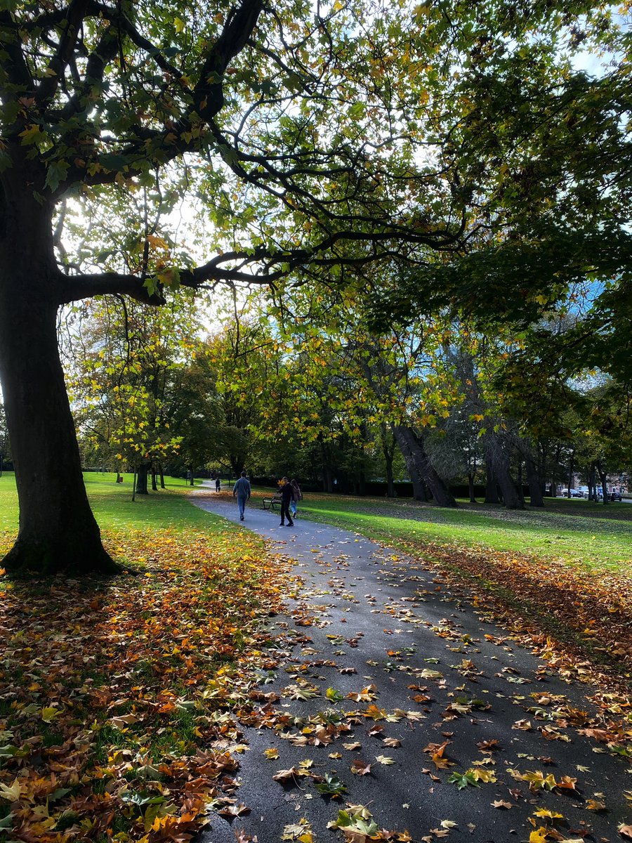 joymarie_h's tweet photo. #Autumn #autumnfall #Autumnseason #autumnleaves #octoberdays https://t.co/s5z9G0zTdl