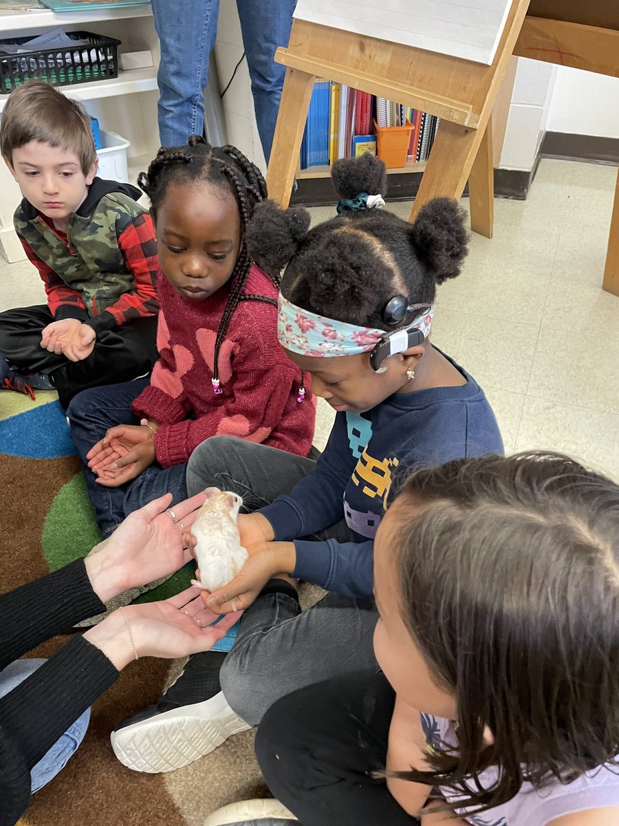 MrsAMacLeod's tweet photo. Thank you Ms. Molly for letting us meet Diesel! He inspired lots of learning this morning. We brainstormed descriptive words for Diesel and discussed how we can meet his needs as a living thing. We also talked about his adaptions for the wild! @Mrs_Shea1 @FJMcDonaldOCSB #ocsbDL https://t.co/rS6BSa4kCV